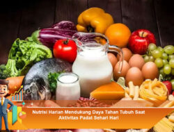 Nutrisi Harian Mendukung Daya Tahan Tubuh Saat Aktivitas Padat Sehari Hari