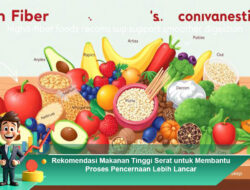 Rekomendasi Makanan Tinggi Serat untuk Membantu Proses Pencernaan Lebih Lancar