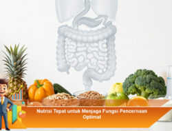 Nutrisi Tepat untuk Menjaga Fungsi Pencernaan Optimal